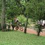 Imagem 303